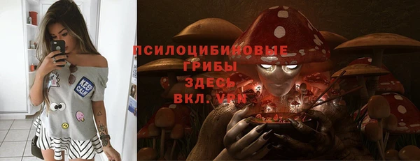 шишки Алексеевка