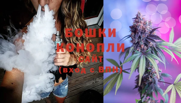 шишки Алексеевка