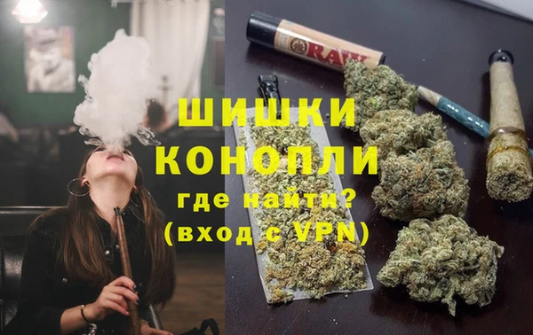 шишки Алексеевка