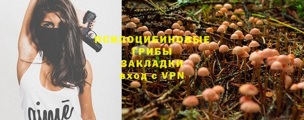 индика Корсаков