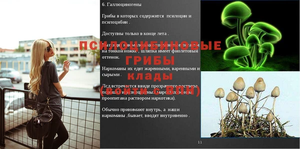 шишки Алексеевка