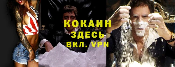 винт Алексин