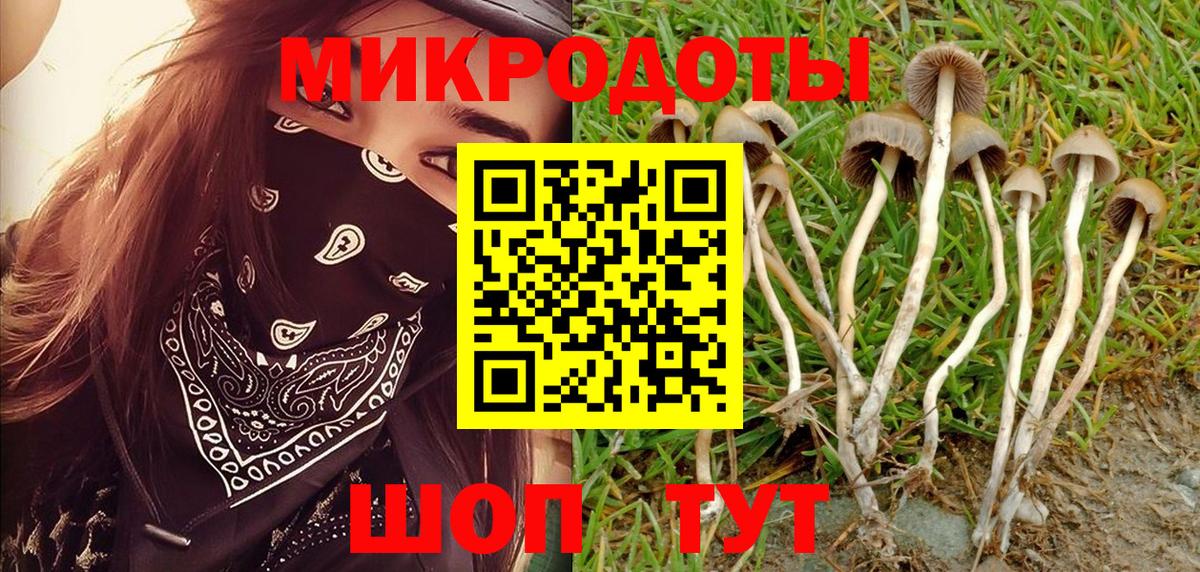 Петровск  Галлюциногенные грибы ЛСД  Вход с VPN 